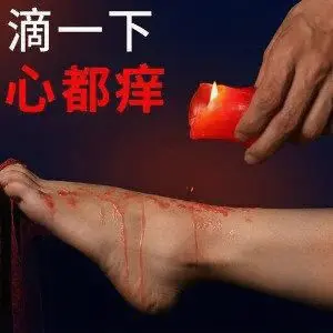 西檬之家字母圈M倾向指南
· 权威入门