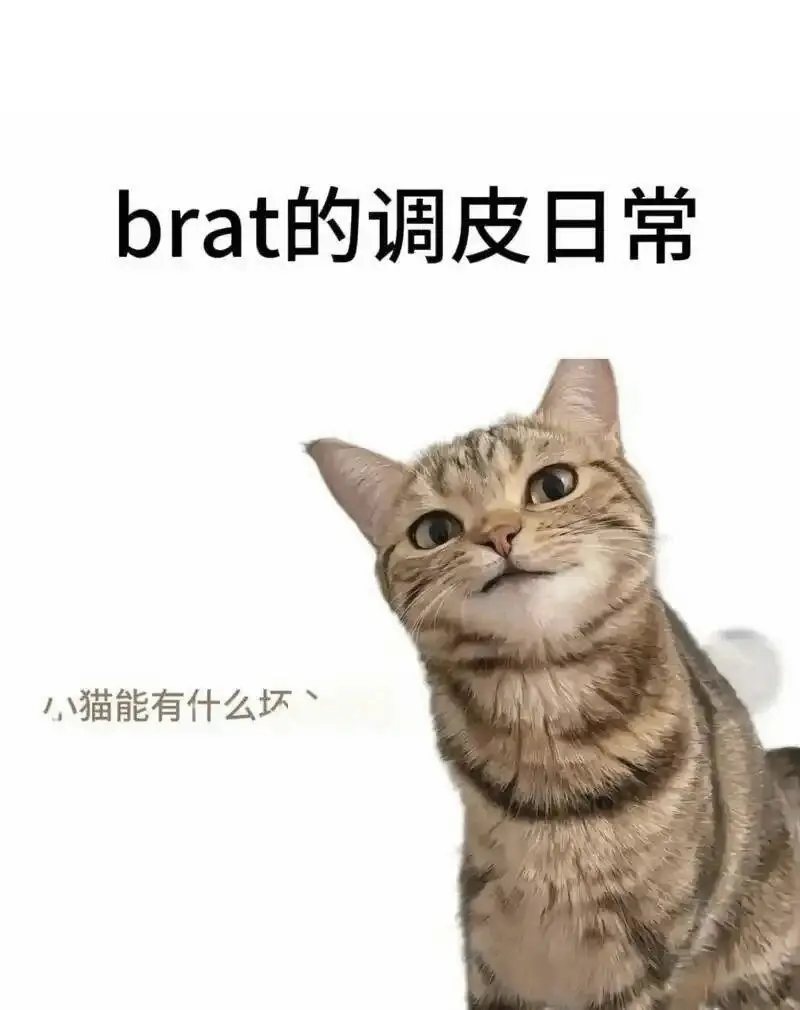 DS关系 - 2025-11-13 192048