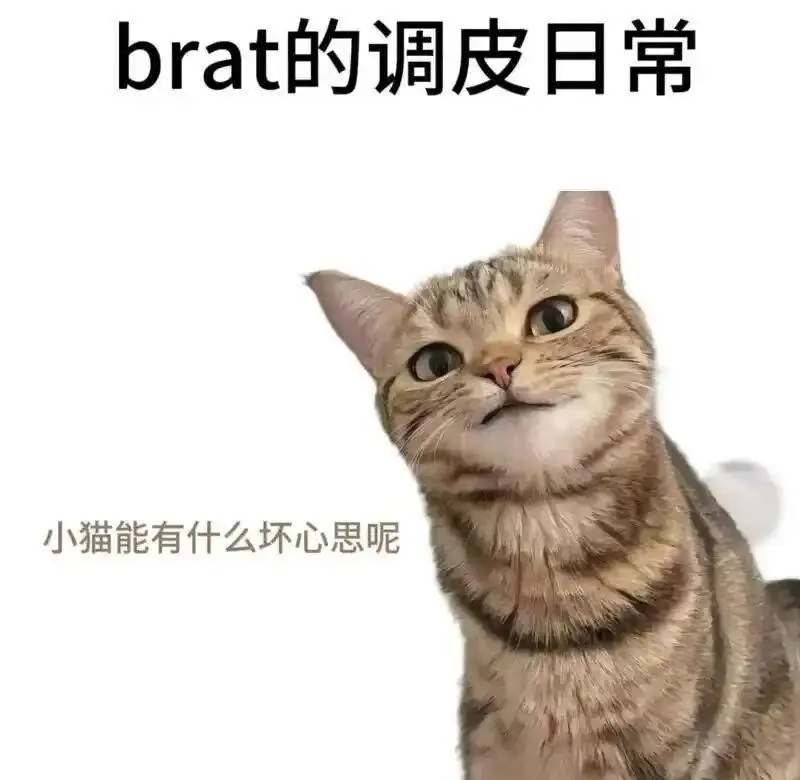 西檬之家-字母圈BDSM新人入门指南