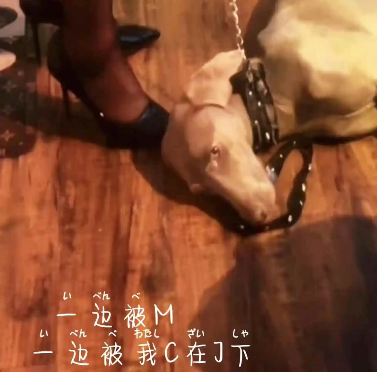西檬之家-字母圈新人入圈指南：如何理解BDSM文化