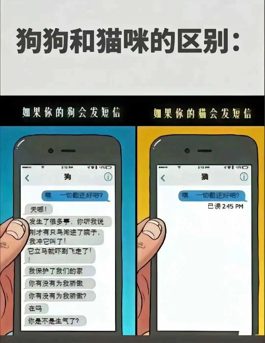 DS关系 - 微信图片_20250713011414