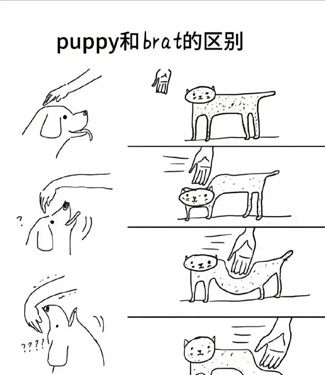 西檬之家-字母圈的DT是什么？BDSM新人入圈指南