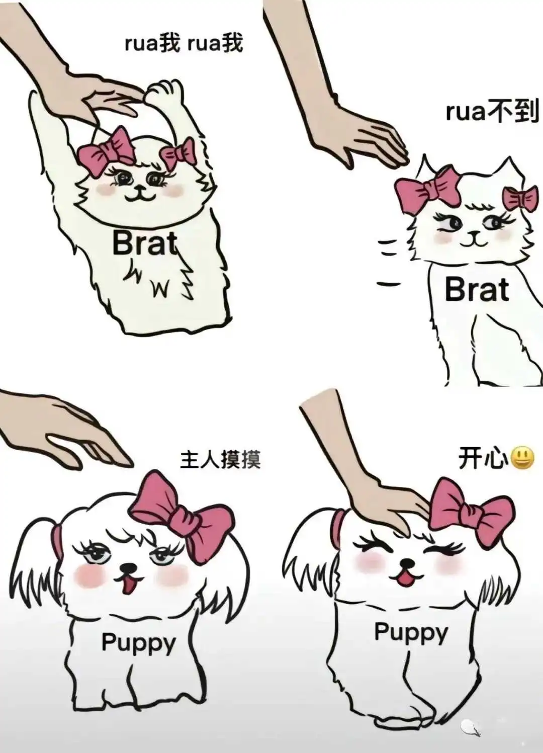 【西檬之家】Spank入门：字母圈新人必知的SP实践指南
