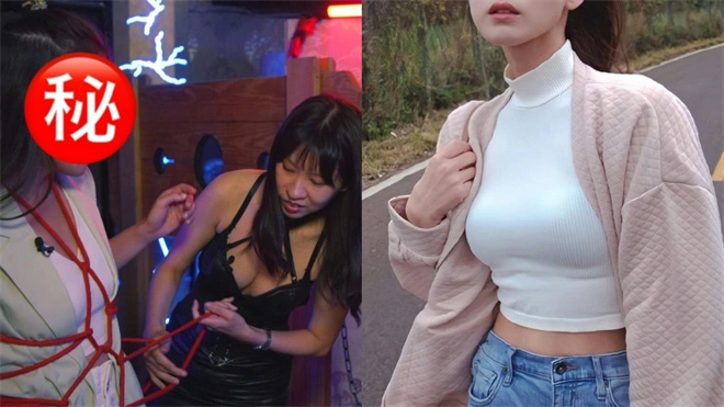 【西檬之家】K9犬系详解：字母圈新人必知的角色与守则